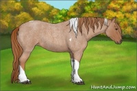 Horse Color:Red Roan Tobiano 