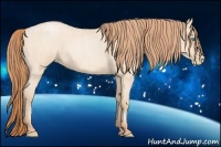 Horse Color:Buckskin Roan Pearl  and Buckskin Roan Pearl 