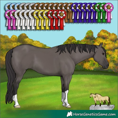 Horse Color:Smoky Grullo 