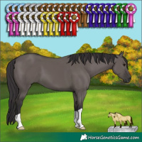 Horse Color:Smoky Grullo 