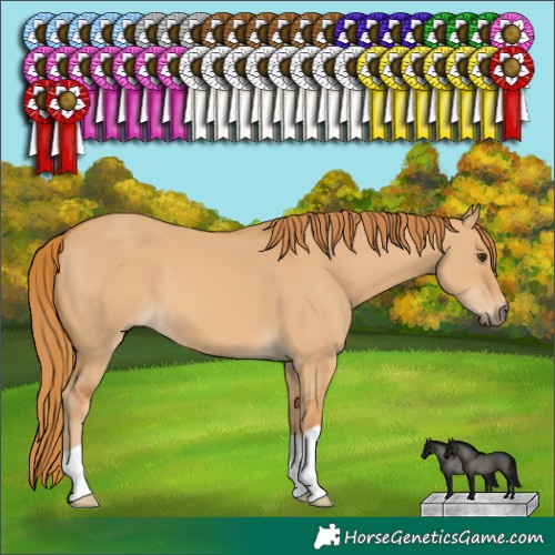 Horse Color:Red Dun 