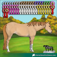 Horse Color:Red Dun 
