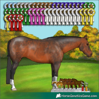 Horse Color:Brown 