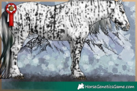 Horse Color:ERROR: UNKNOWN ANOMALY and Painted Plaid  White Spotted Silver Blue Onyx Varnish 