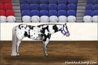 Horse Color:ERROR: UNKNOWN ANOMALY and Grullo Roan Near Fewspot Rabicano 
