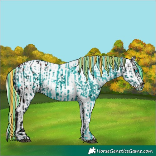 Horse Color:ERROR: UNKNOWN ANOMALY and White Spotted Silver Grullo Appaloosa Rabicano 