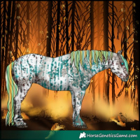 Horse Color:ERROR: UNKNOWN ANOMALY and White Spotted Silver Grullo Varnish Rabicano 