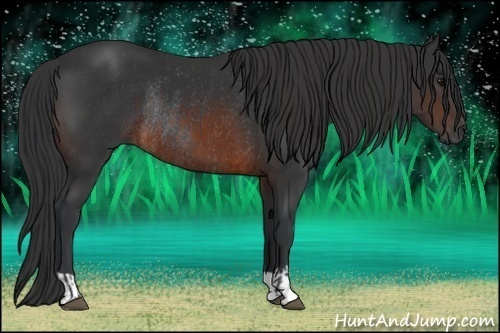 Horse Color:Brown Rabicano  and Brown Rabicano 