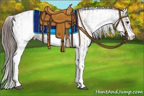 Horse Color:White Spotted Grullo Appaloosa Rabicano  and White Spotted Grullo Appaloosa Rabicano 