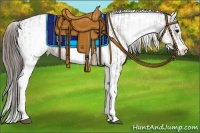 Horse Color:White Spotted Grullo Appaloosa Rabicano  and White Spotted Grullo Appaloosa Rabicano 