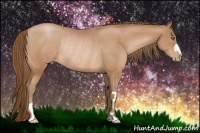Horse Color:Bay Pearl Frame Rabicano 