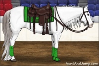 Horse Color:White Spotted Grullo Fewspot Rabicano  and White Spotted Grullo Fewspot Rabicano 