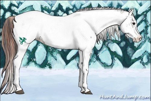 Horse Color:White Spotted Grullo Appaloosa Rabicano  and White Spotted Bay Dun Appaloosa Rabicano 
