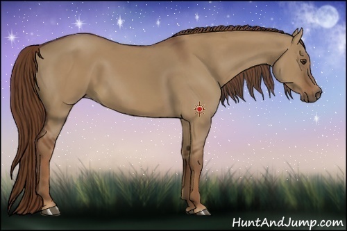 Horse Color:Red Dun 