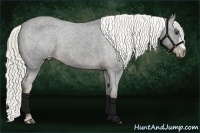 Horse Color:Liver Chestnut Mushroom Varnish