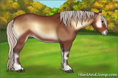 Horse Color:Silver Bay Onyx 