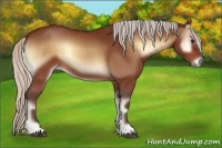 Horse Color:Silver Bay Onyx 