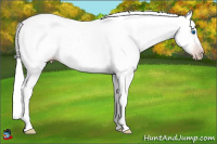 Horse Color:Gray Classic Champagne Roan Splash Snowflake Varnish 