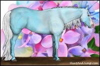 Horse Color:Watercolor Silver Black Chinchilla Splash 