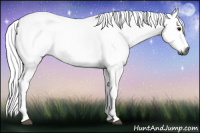 Horse Color:Gray Bay