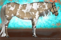 Horse Color:White Spotted Liver Red Dun 
