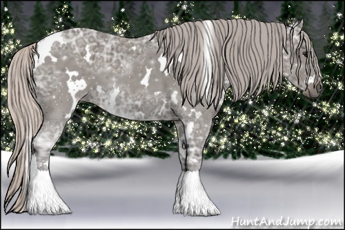 Horse Color:White Spotted Silver Black Ice Sabino 