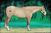 Horse Color:Grullo Pearl Sabino Splash Rabicano