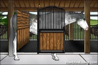 Horse Color:Black Sabino Rabicano