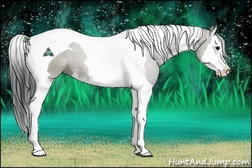 Horse Color:Grullo Sabino Splash Tobiano 