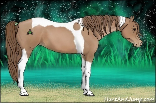 Horse Color:Black Pearl Tobiano
