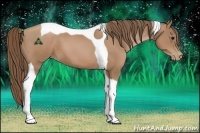 Horse Color:Black Pearl Tobiano 