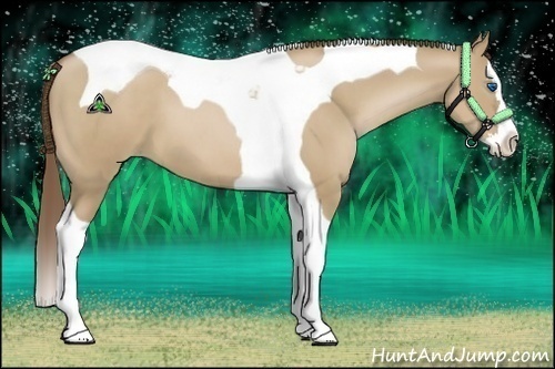 Horse Color:Grullo Pearl Splash Tobiano
