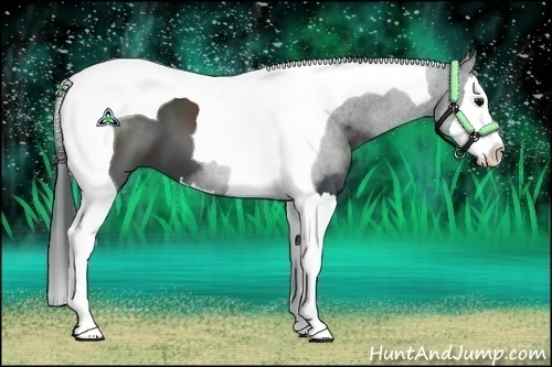 Horse Color:Black Splash Tobiano 