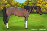 Horse Color:Bay Roan Tobiano