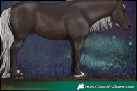 Horse Color:Silver Brown Rabicano and Silver Brown