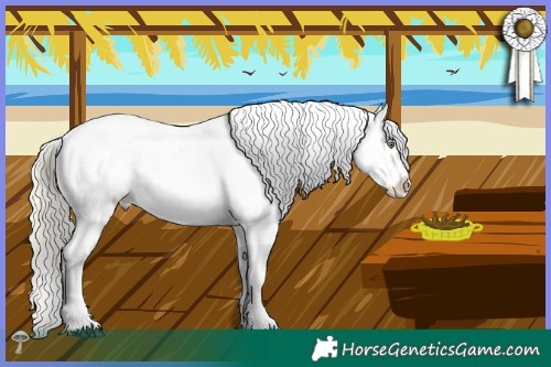 Horse Color:Liver Red Dun Mushroom Near Leopard Rabicano
