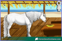 Horse Color:Liver Red Dun Mushroom Near Leopard Rabicano