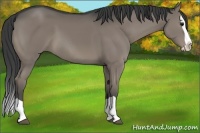 Horse Color:Smoky Grullo Splash Brindle