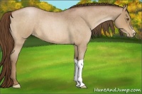 Horse Color:Brown Roan Pearl 