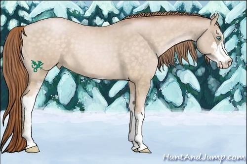 Horse Color:Buckskin Roan Pearl Sabino 