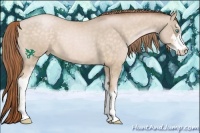 Horse Color:Buckskin Roan Pearl Sabino