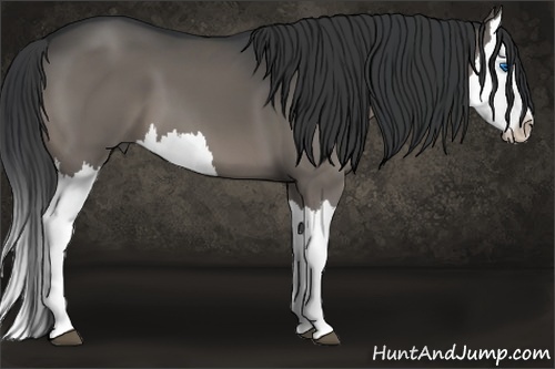 Horse Color:Grullo Splash Brindle 