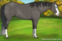 Horse Color:Grullo Splash Brindle 