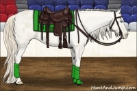 Horse Color:Smoky Creme Dun Varnish 