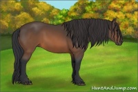Horse Color:Brown 