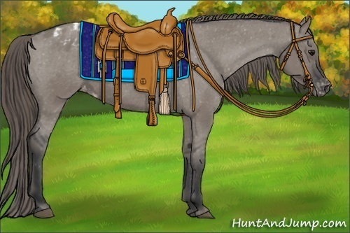 Horse Color:Grullo Appaloosa 