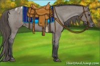 Horse Color:Grullo Appaloosa 