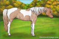 Horse Color:Red Roan Tobiano 