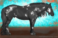 Horse Color:White Spotted Black 