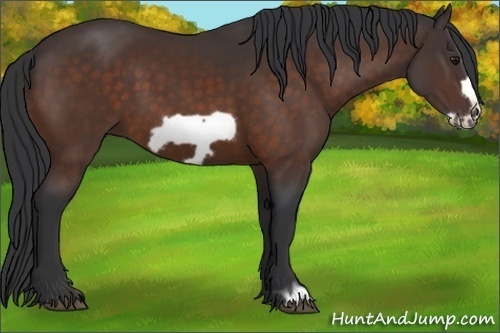 Horse Color:Brown Frame 